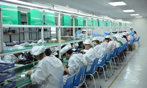 从赌场深渊到电子厂救赎 一个广东靓仔的“生活真谛”